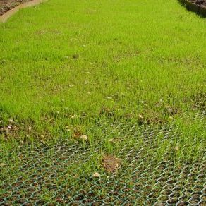 Géogrille de renfort - TURFPROTECTA - TERRAM