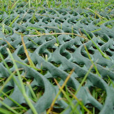 Géogrille tridimensionnel - GRASSPROTECTA - TERRAM