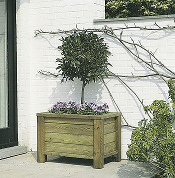 Jardinière en bois - COLIBRI - Collstrop Garden - carrée / classique / d'extérieur