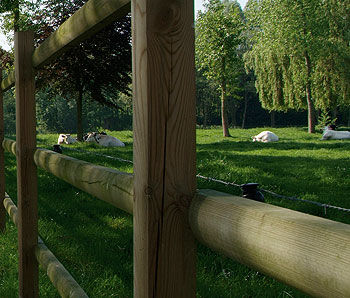 Poteau pour clôture - RURAL - Collstrop Garden