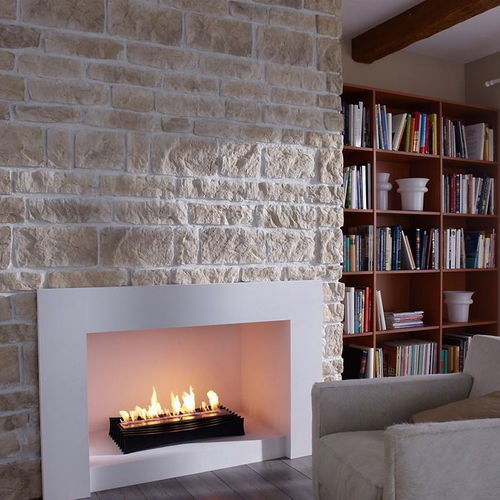 Insert de cheminée au bioéthanol - ASCOT LUX - Decoflame