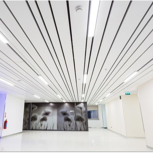 Faux-plafond en acier galvanisé - AP103 - Apton Partitioning Limited - en lames / pour bureau / d'intérieur