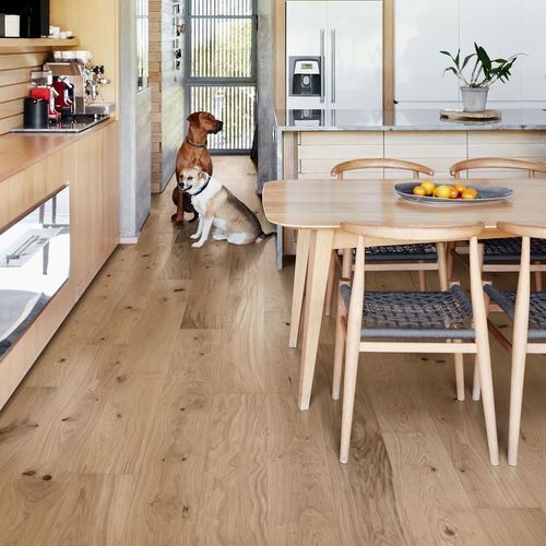 Parquet contrecollé - OAK GENTIAN  - Upofloor - en épicéa / en pin / brossé