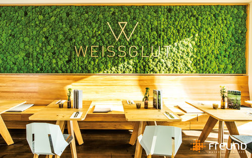 Mur végétal stabilisé - GREENHILL - POLSTER MOOS / CUSHION MOSS / MOUSSE BOULE - Freund GmbH - en panneau modulaire / pour bureau / pour restaurant