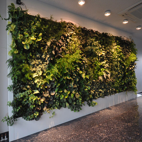 Mur végétal d'intérieur - LIVEPANEL - PFLANZENWAND / VERTICAL GARDEN / JARDIN VERTICAL - Freund GmbH - bioclimatique