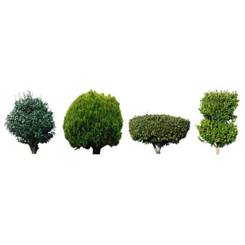 Bibliothèque d'objets 2D/3D - SHRUBS & TREES - DOSCH DESIGN