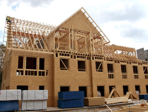 Panneau de construction OSB - BLUE RIBBON® - Georgia Pacific - pour bâtiment