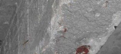 Mortier de réparation - WEBER.REP STRUCTURE : MOTEX VM 212 - Weber Industries - pour béton