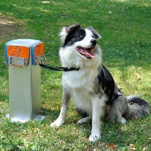 Potelet pour parc canin - R9055 - Industrias Agapito - de protection / en acier galvanisé / en acier inoxydable