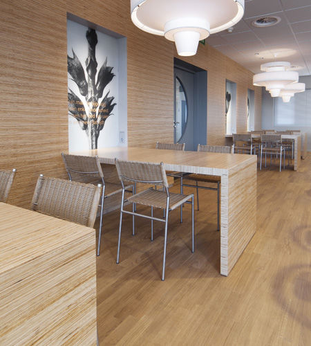 Panneau contreplaqué de construction - TWO-SIDED  - Plexwood - pour meuble