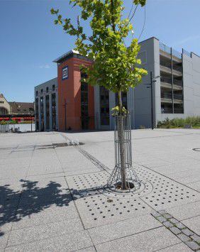 Corset d'arbre en acier galvanisé - Kronimus AG Betonsteinwerke