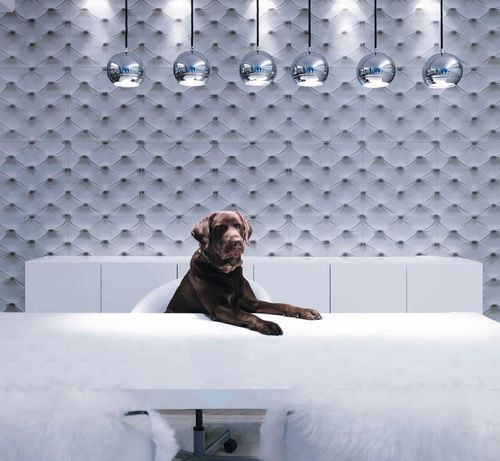 Carrelage en grès cérame - EMOTILE - Ceracasa Ceramica - 3D / d'intérieur / mural