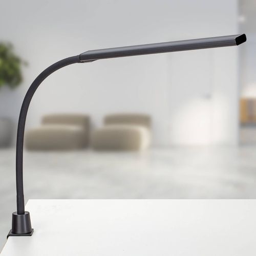 Lampe de bureau - MAULPIRRO  - MAUL - en métal / contemporaine / d'intérieur