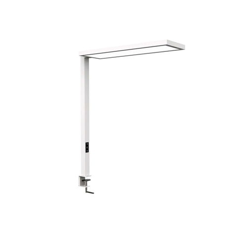Lampe de table - MAULSENJA - MAUL - en aluminium / contemporaine / sans fil