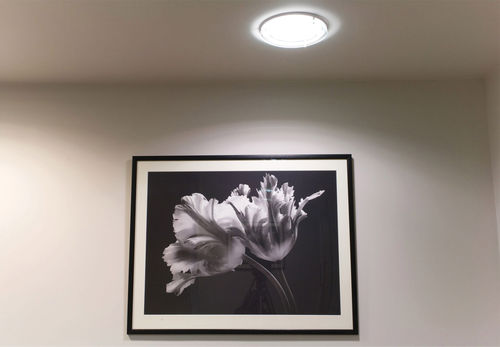 Downlight encastré - PL - Orlight - fluocompact / rond / d'intérieur