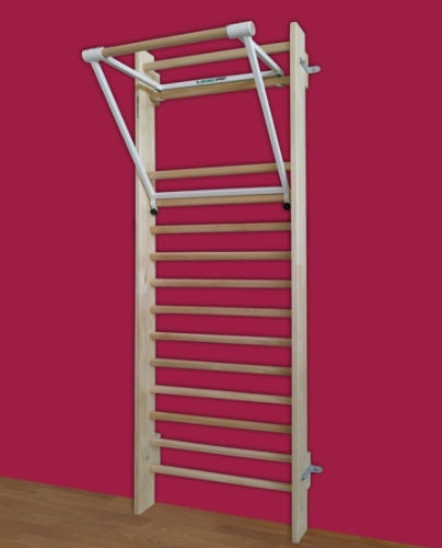 CCLIFE Espalier en Bois Echel Suedois Espalier Gym pour Adulte et Enfant Capacité de Charge 100KG - Sport & Plein air CCLIFE Espalier en Bois Echel Suedois Espalier Gym pour Adulte et Enfant Capacité de Charge 100KG - Sport & Plein air
