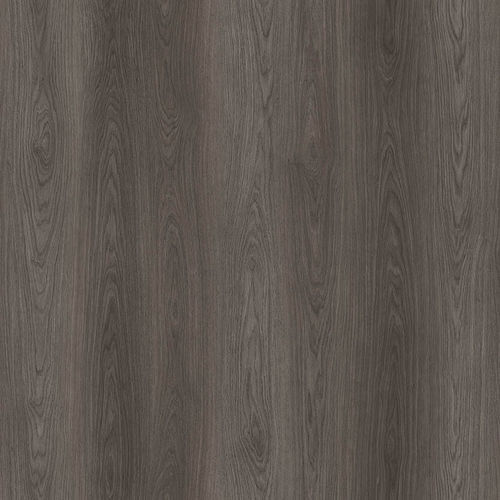 Revêtement de sol en liège - BLACK FOREST OAK  - Wicanders - d'intérieur / pour salle de séjour / pour bureau
