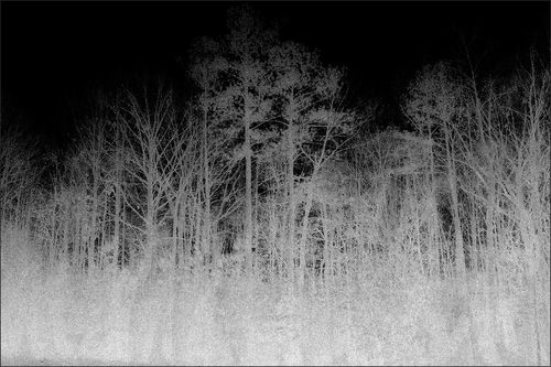 Tapis contemporain - BLAIRWITCH 1  - VIDAME EDITIONS - à motif / en polyamide / rectangulaire