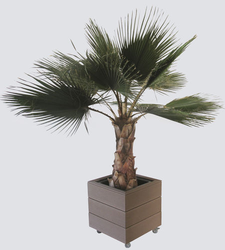 Vase design - Tecnodeck - bois / en aluminium / sur mesure