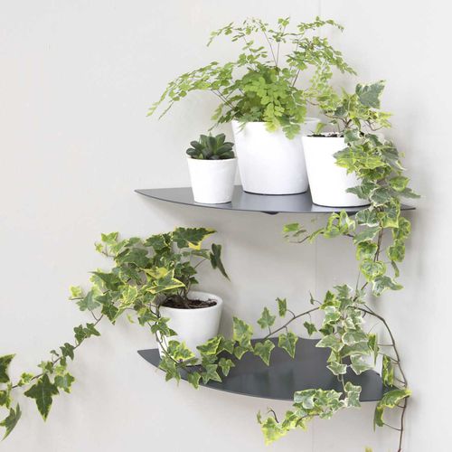 Étagère murale - ALU-GOLO - TEEbooks - d'angle / design minimaliste / en aluminium laqué