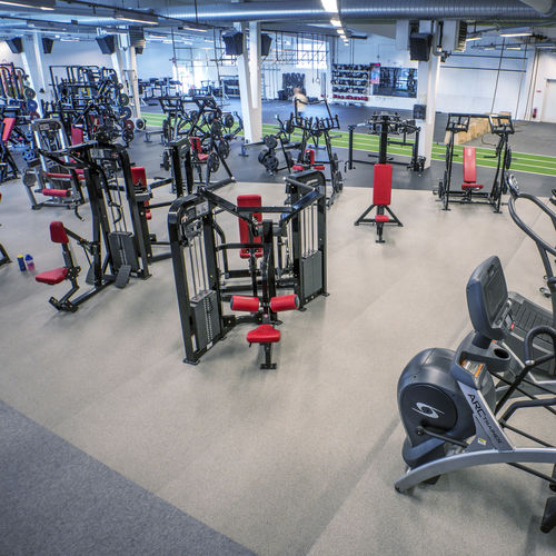 Sol sportif d'intérieur - SPORTEC® purcolor - KRAIBURG Relastec GmbH & Co. KG - en caoutchouc / en EPDM / pour athlétisme