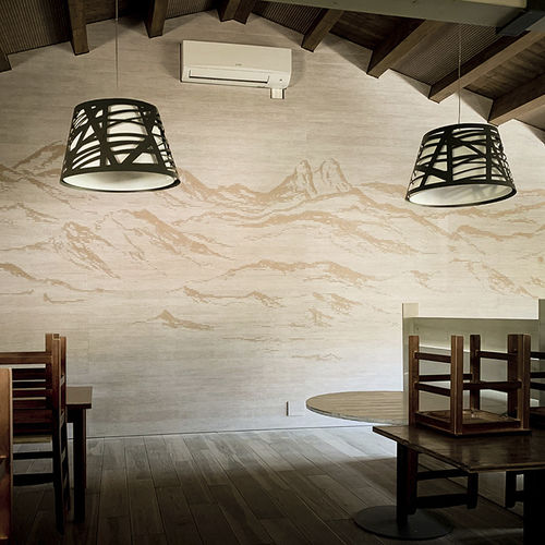 Panneau décoratif. pour agencement intérieur - LINES TECH - Decustik - à effet dimensionnel / professionnel