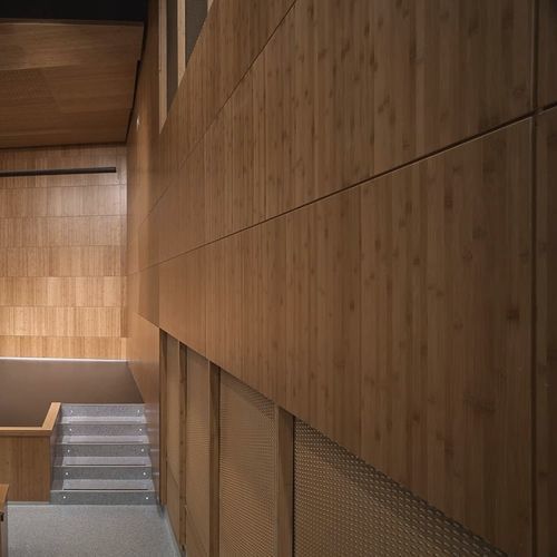 Panneau acoustique pour auditorium - Grupo GUBIA - pour mur / pour plafond / en bambou