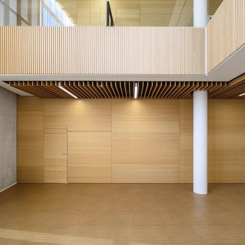 Lambris mural - Grupo GUBIA - de plafond / de sol / en bois