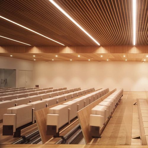Faux-plafond en bambou - Grupo GUBIA - en lames / pour auditorium / d'intérieur