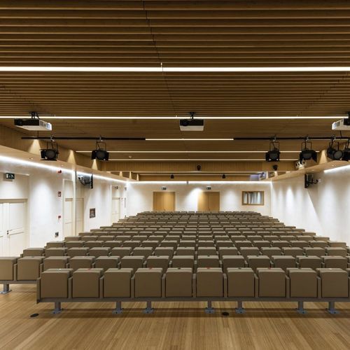 Faux-plafond en bambou - Grupo GUBIA - en lames / pour auditorium / d'intérieur
