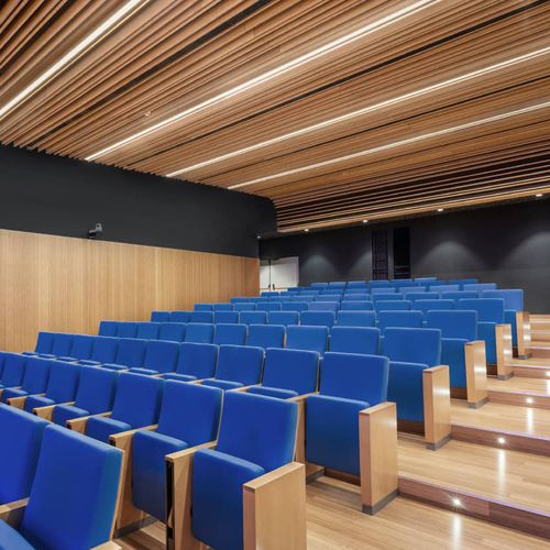 Faux-plafond en bambou - Grupo GUBIA - en lames / pour salle de conférence / pour auditorium