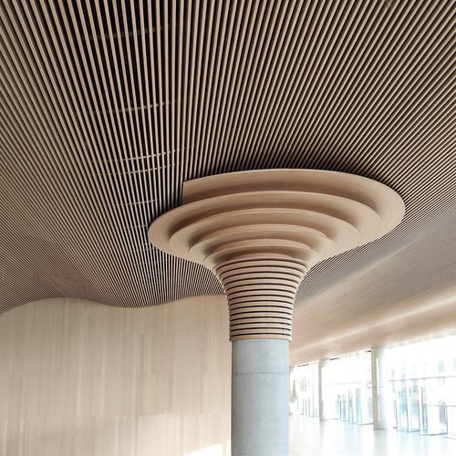 Faux-plafond en bambou - Grupo GUBIA - en lames / pour salle de conférence / pour auditorium