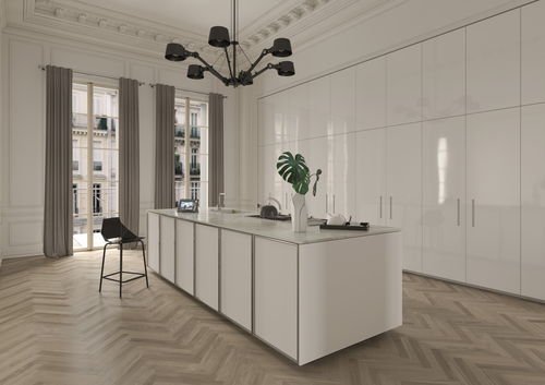 Cuisine contemporaine - TK38 - Rossana - en inox / en placage de bois / dissimulée