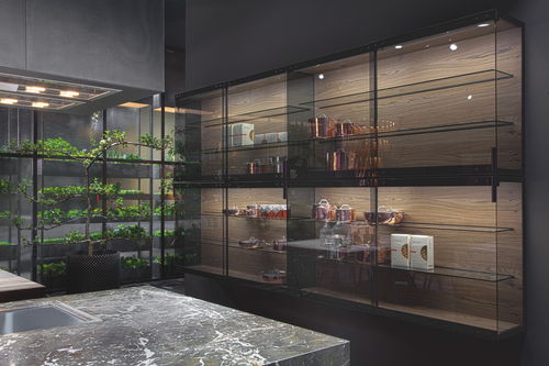 Armoire de rangement pour cuisine contemporain - Rossana - en bois / en verre