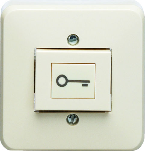Interrupteur pour installation domotique - Jung 333AT-24 - Eff Eff - bouton poussoir / en saillie / contemporain