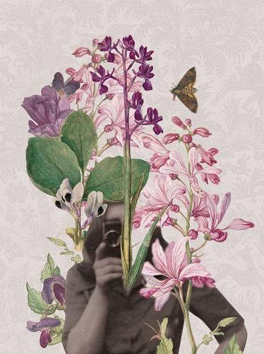 Tableau décoratif floral - JE-004 - Momenti