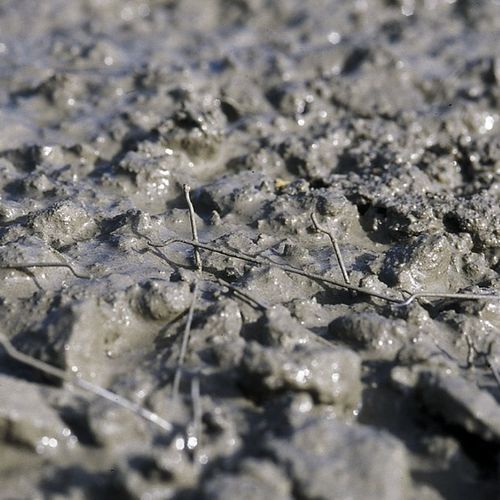 Béton autoplaçant - AGILIA® MI MÉTAL - Lafarge concrete - renforcé de fibres / pour maison / sous dallage