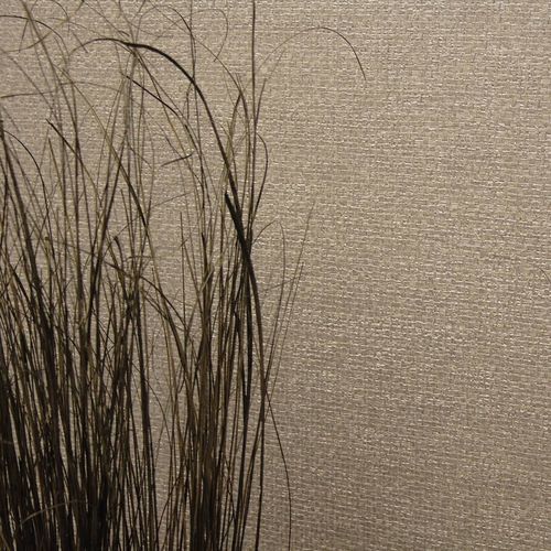 Revêtement mural pour intérieur - Arianne-02E77 - Muraspec - en vinyle / texturé / intissé