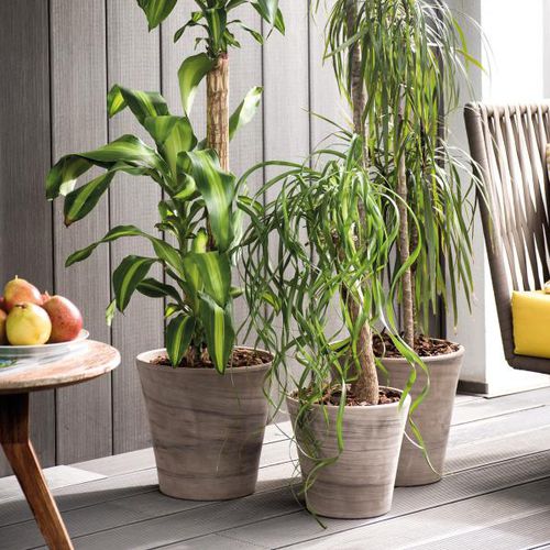 Pot de jardin en terracotta - DUO GRAFITE : 3R-J-99 - Deroma - conique / rond