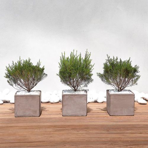 Pot de jardin en terracotta - BOX : TL3 - Deroma - cube