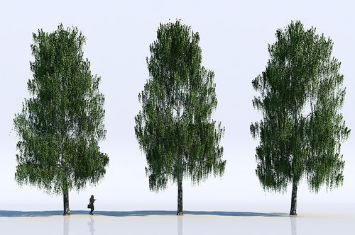 Bibliothèque d'objets 2D/3D - TREES - VizPeople Cut Out people