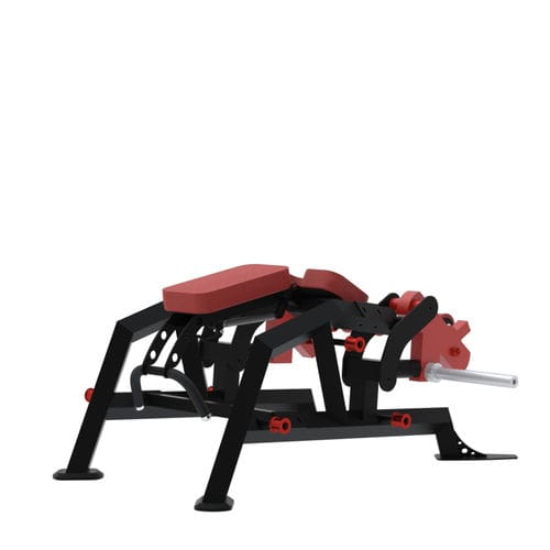 Appareil de musculation curl des jambes - BXT33 - Multi-form - d'intérieur / professionnel