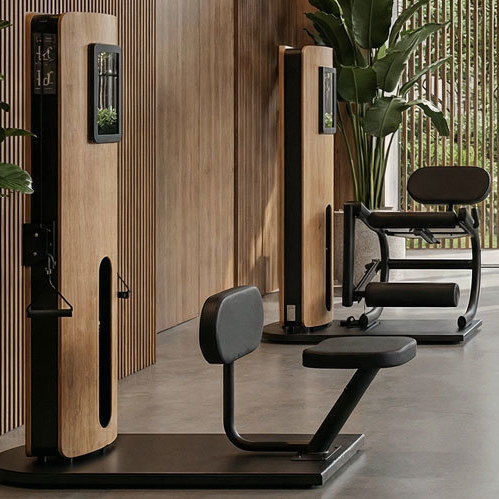 Appareil de musculation dips - STUDIOLINE - WATERROWER FRANCE - crunch abdominal / extension du dos / curl des jambes