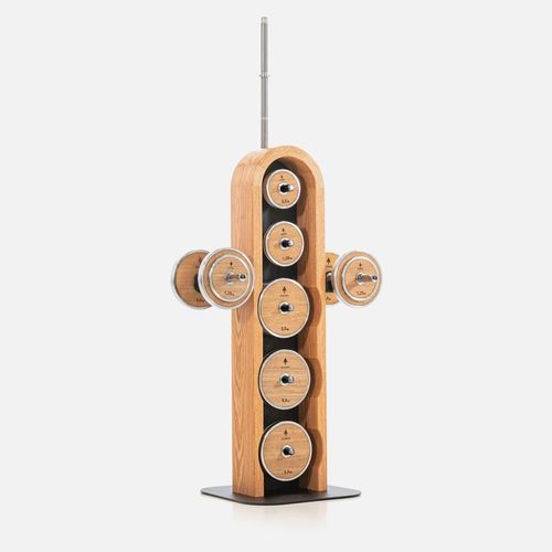 Râtelier de rangement pour équipements sportifs - WEIGHTPLATE TOWER CH&Ecirc;NE - WATERROWER FRANCE