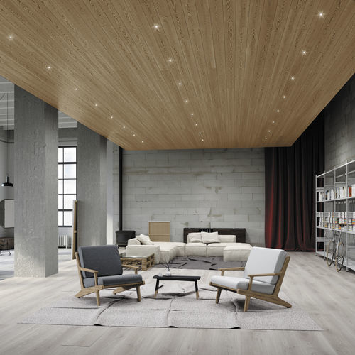 Downlight encastré - GENIUS NAKED - BUZZI & BUZZI - de plafond / à LED / rond
