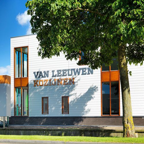 Encadrement de fenêtre en bois - OFFICE VAN LEEUWEN KOZIJNEN - Accsys Technologies - en enduit