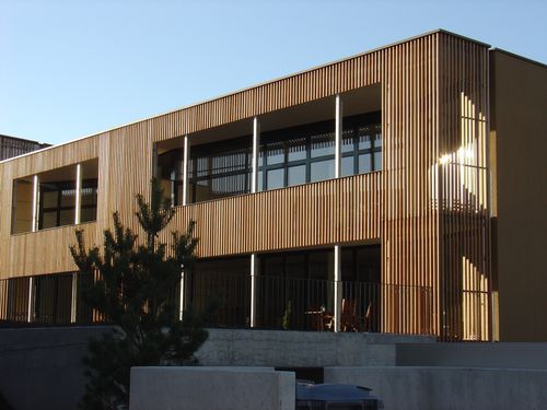 Bardage en panneaux - ALLSCHWIL - Haring Engineering Ltd  - en bois / rainuré