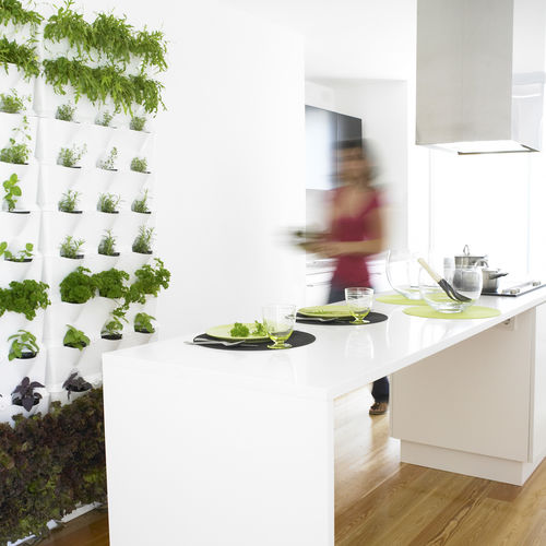 Jardin vertical en végétaux vivants - MINIGARDEN KITCHEN GARDEN - Minigarden (Quizcamp SA) - en panneau modulaire / d'intérieur / d'extérieur