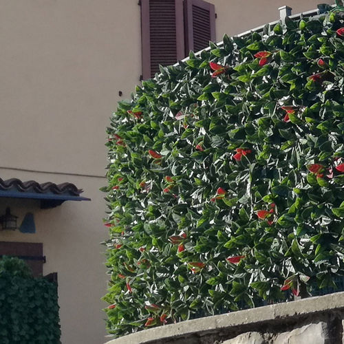 Brise-vue en grille - DIVY PLUS PHOTINIA  - Tenax UK Ltd  - en polyéthylène / 3D