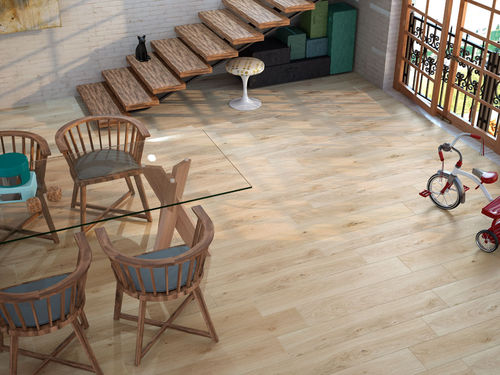 Carrelage en grès cérame - OREGÓN  - APE - mat / d'intérieur / de sol